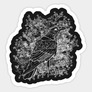 The Raven Sticker